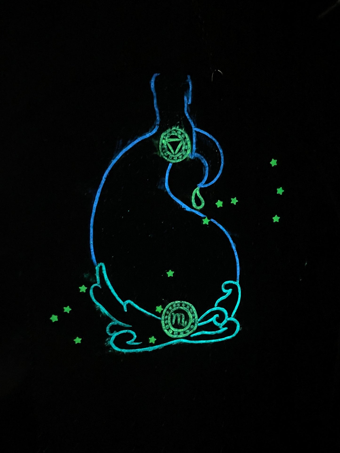 Zodiac Glow In The Dark Wall Decor